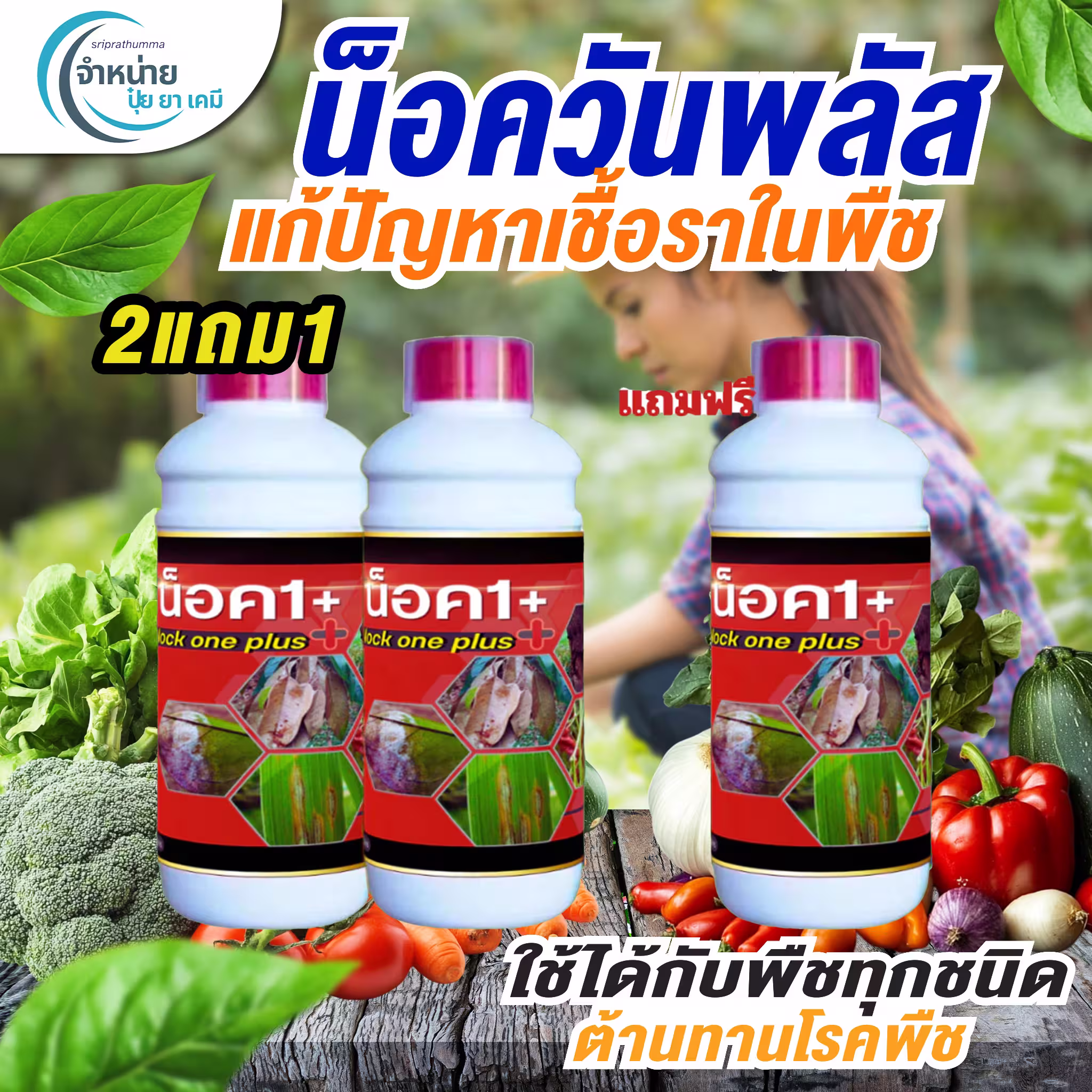ผลงานดูแลร้านค้าออนไลน์