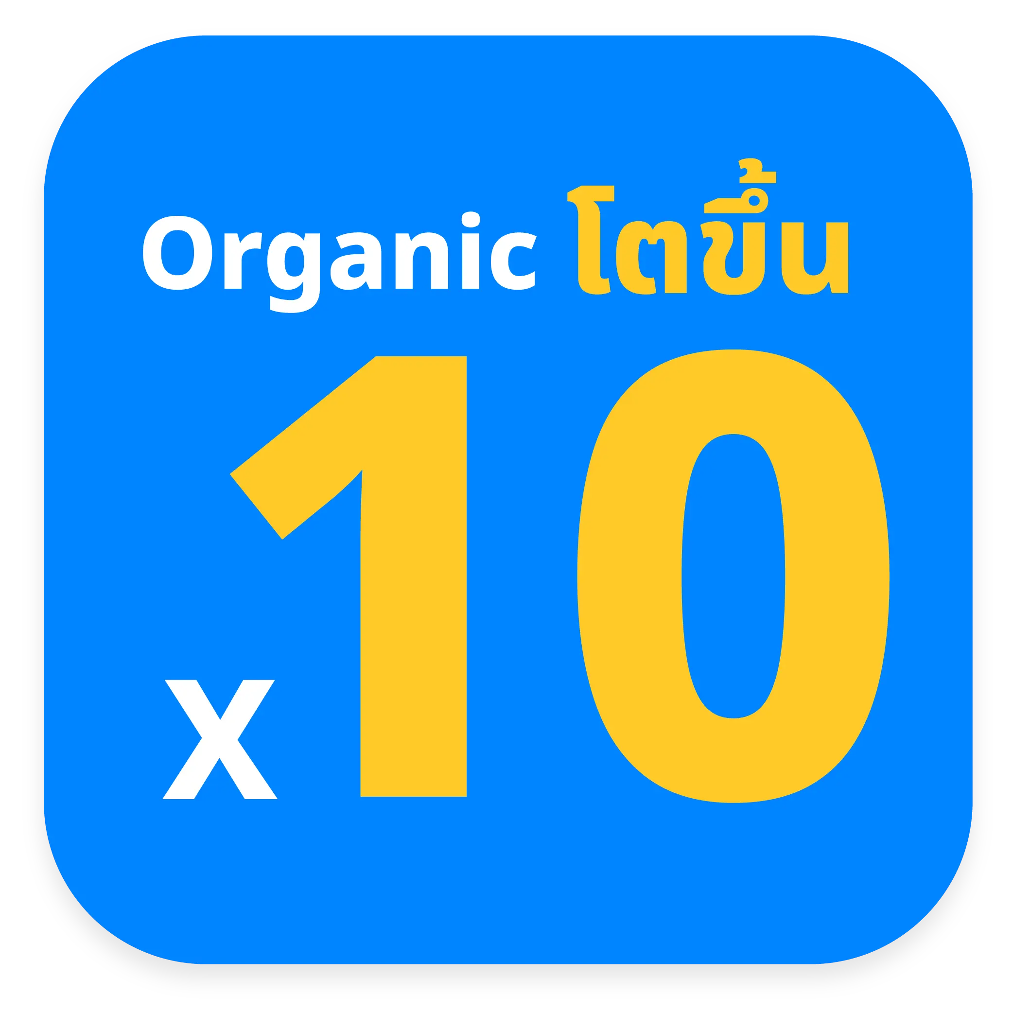 ผลงาน SEO เว็บไซต์ธุรกิจ